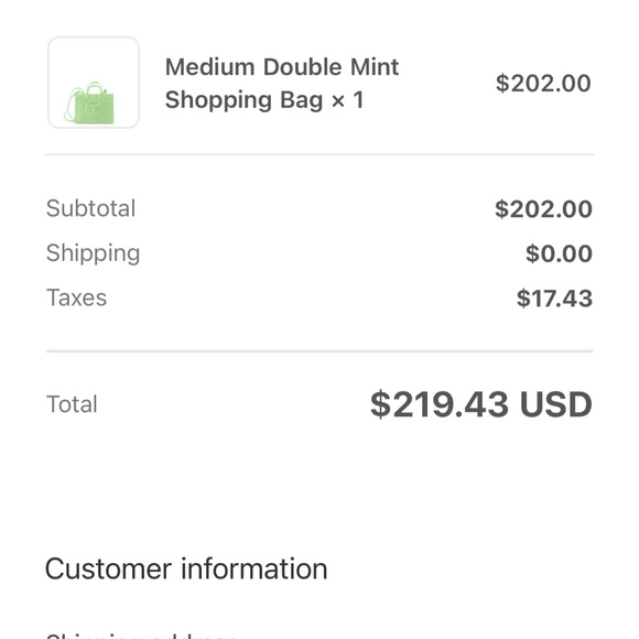 TELFAR Medium “double Mint” Tote Bag Shopping Bag - Picture 11 of 11